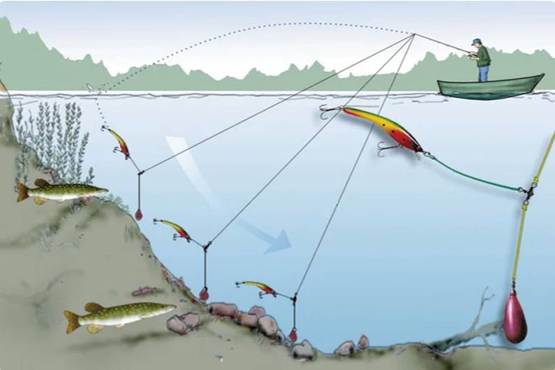 Крошка-гольян – описание рыбы и ее привлекательность для рыбаков