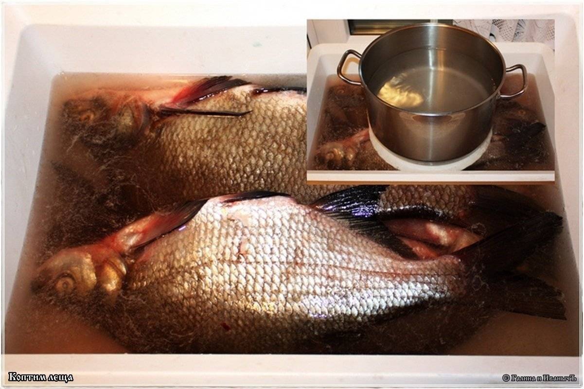 Засолка мяса, сала, рыбы для холодного (горячего) копчения в домашних условиях