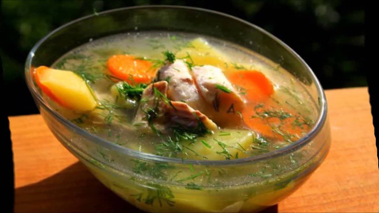 Уха из карасей: рецепт с фото