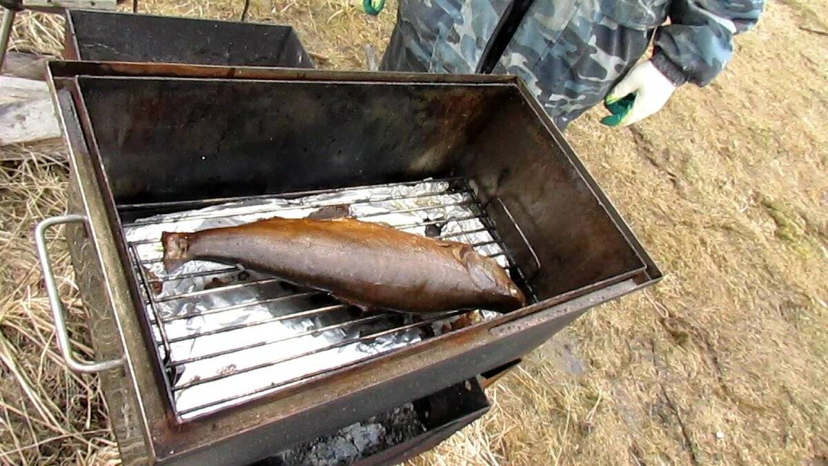 Горячее копчение рыбы: технологии процесса. как правильно приготовить рыбу горячего копчения