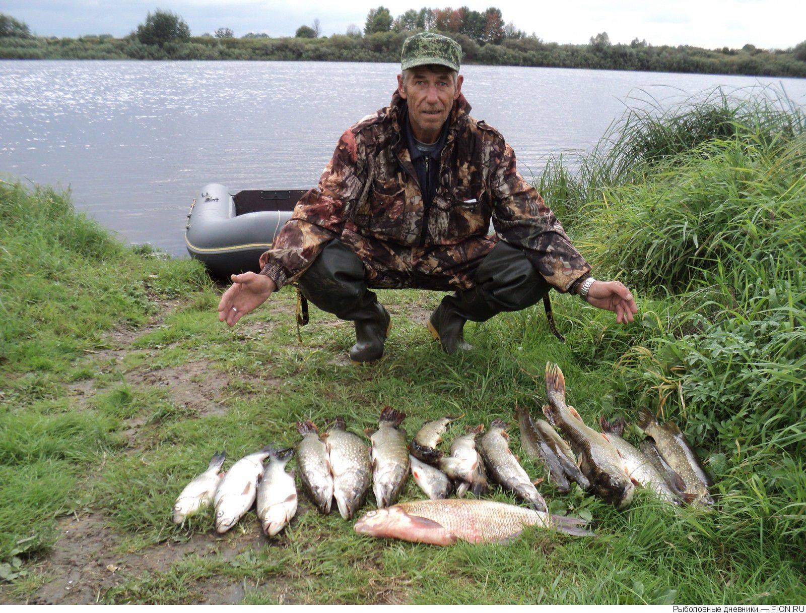 Ока и другие привлекательные водоёмы для рыбалки в рязанской области