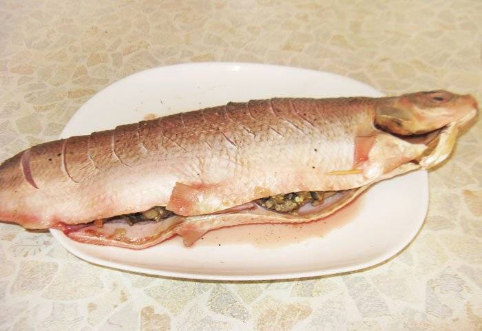 Рыба муксун: рецепты приготовления :: syl.ru