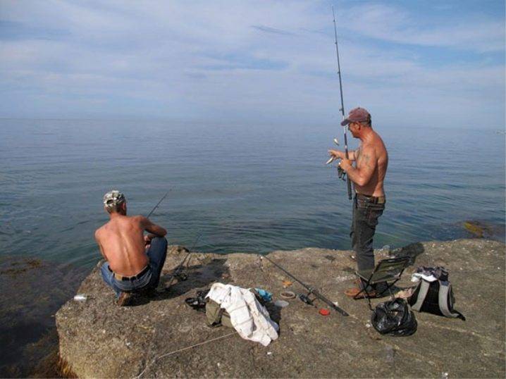 Снасти для морской рыбалки с берега - в чем разница, плюсы и минусы