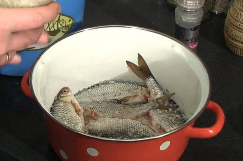 Как сушить рыбу в домашних условиях летом