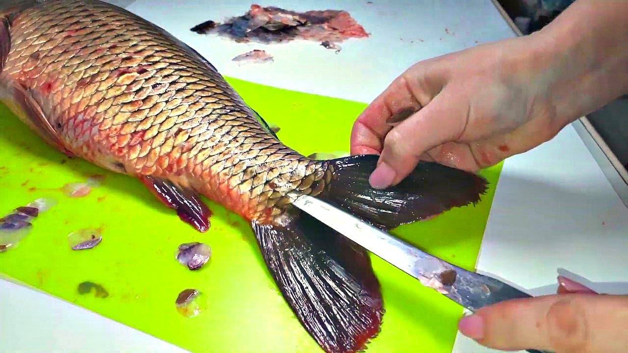 Как разделать сома, как почистить от слизи, убрать слизь с рыбы в домашних условиях, выделка кожи