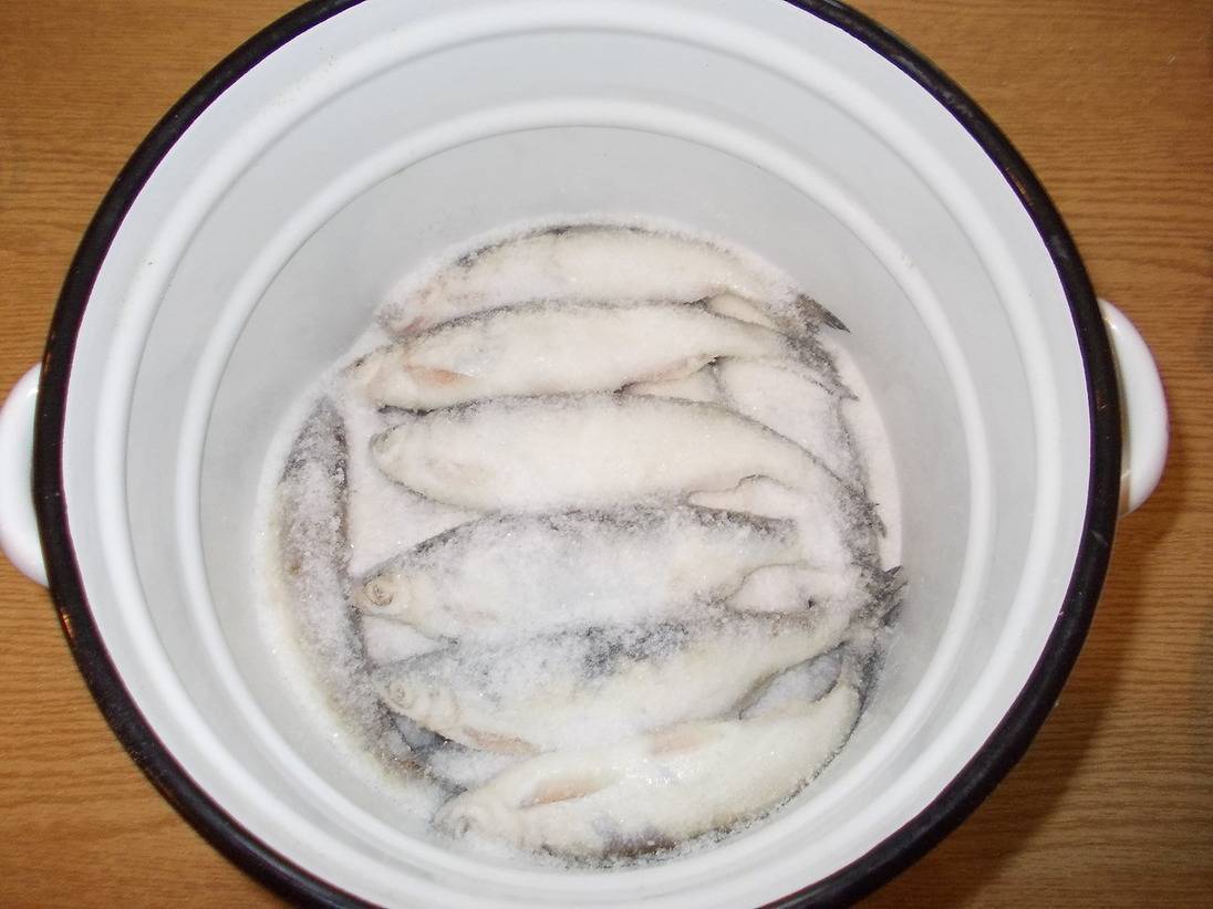 Как правильно солить и мариновать рыбу: сколько времени нужно для безопасной засолки и как долго красную и белую в домашних условиях?