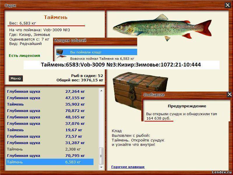 Ловля тайменя — особенности рыбалки - fishingwiki