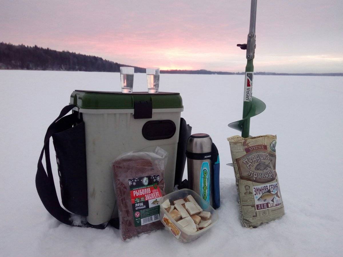Как правильно ловить форель зимой: лучшие приманки и насадки