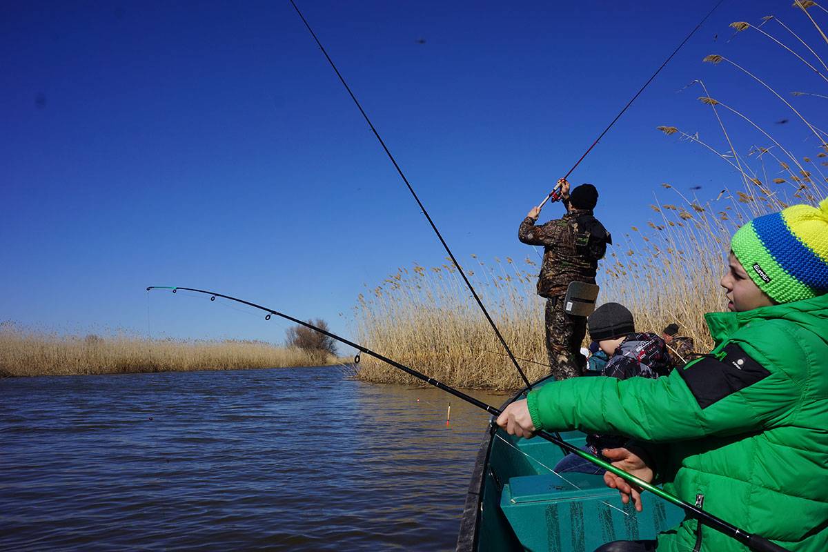 Рыбалка в ростовской области: видео, фото, рыбные места