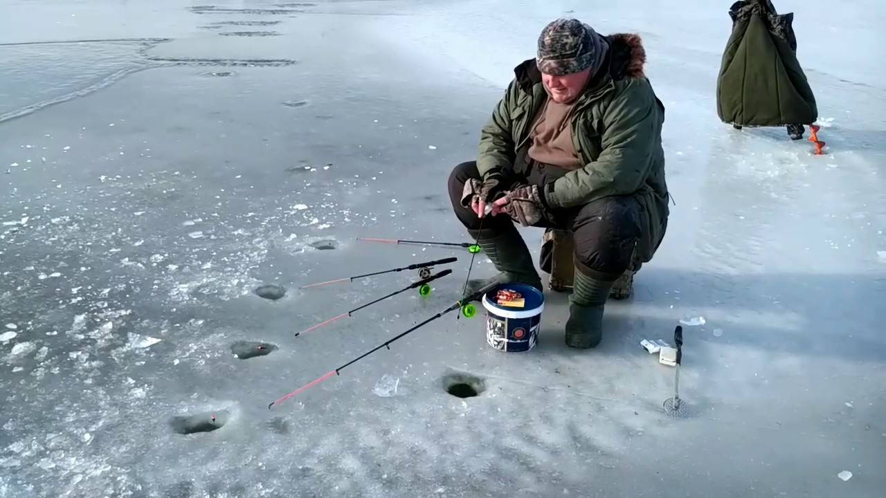 Рыбалка в карагандинской области: популярные водоёмы, виды рыбы и особенности зимнего вылова