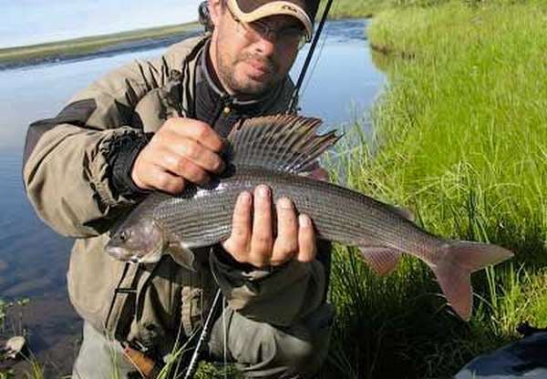 Река томь кемеровской области: особенности рыбалки, лучшие места для ловли