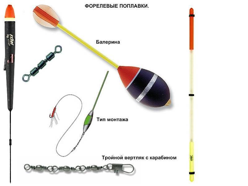 Как ловить форель на донку: ловля форели на пасту