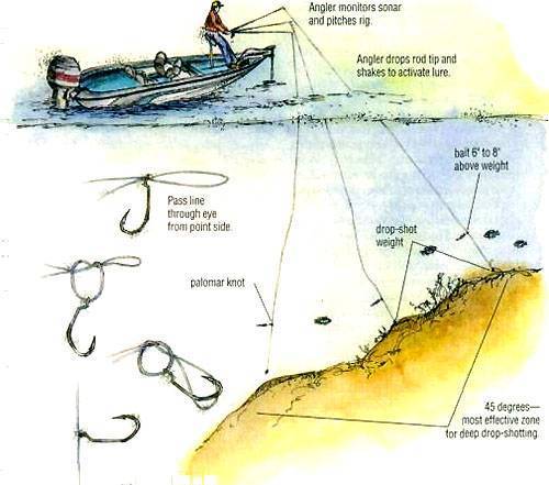 Как ловить судака на спиннинг летом в разных условиях: мастер классы от опытных рыболовов, видео уроки