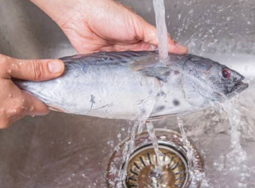 Как быстро разморозить рыбу в домашних условиях без микроволновки