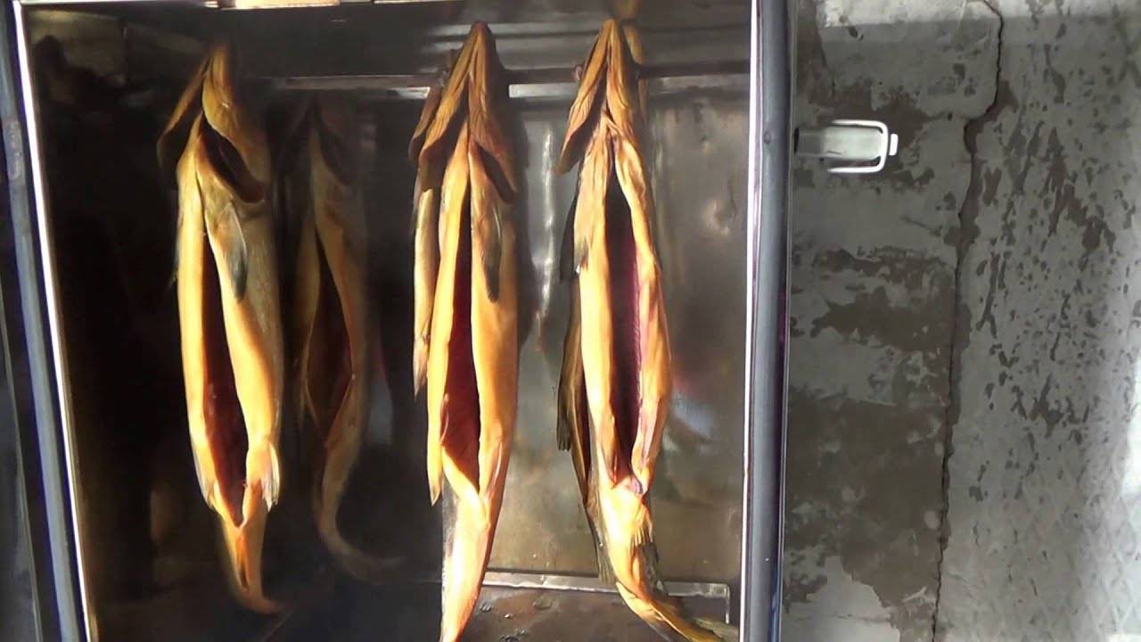 Как закоптить рыбу в коптильне горячего копчения
