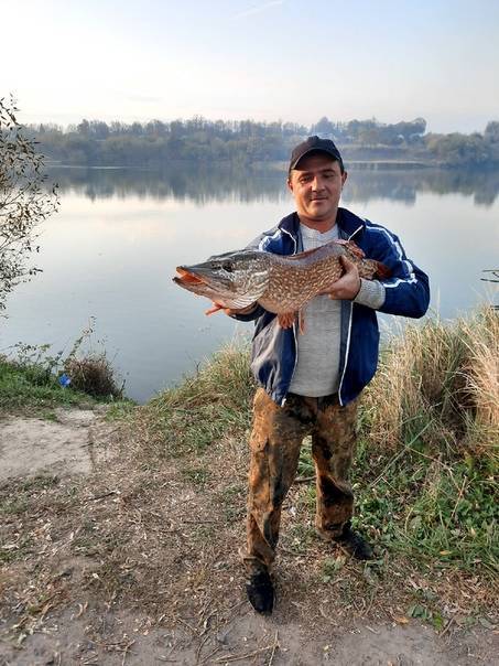 ᐉ рыбалка в курской области - ✅ ribalka-snasti.ru