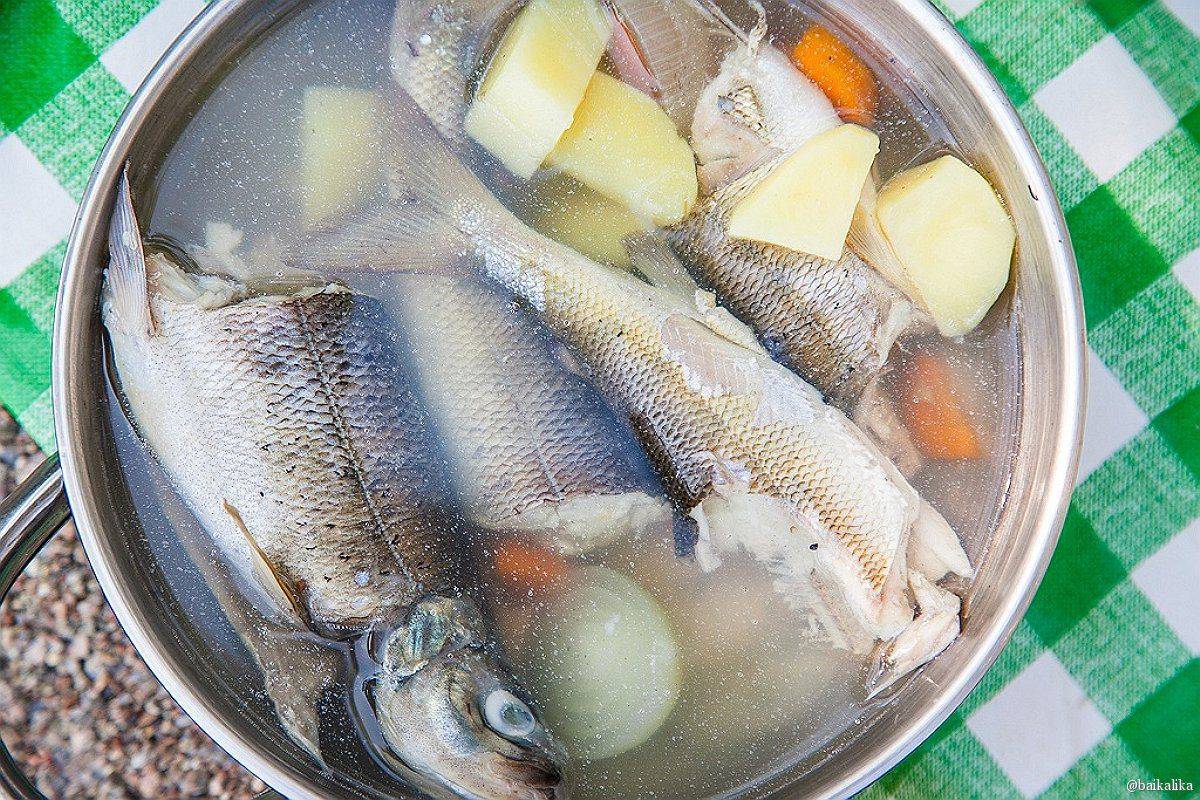 Пошаговый рецепт приготовления классической ухи из красной рыбы
