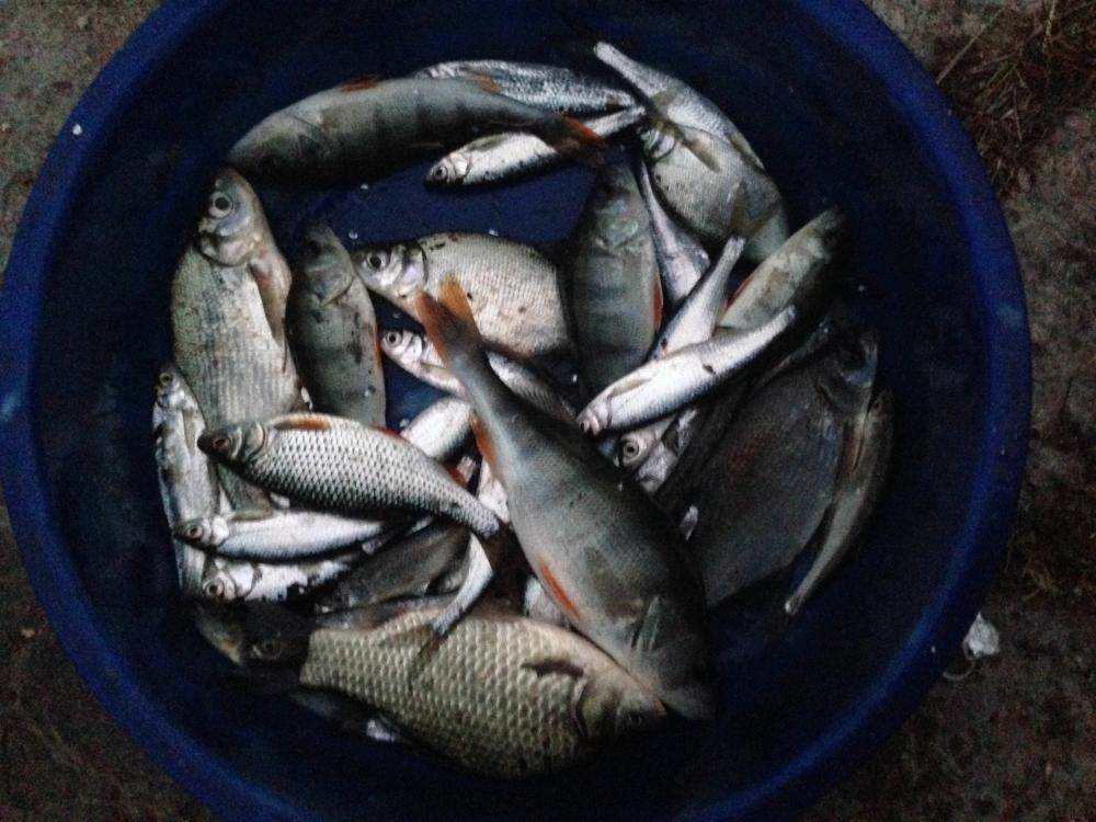 Рыбалка в татарстане | новая карта рыболовных мест