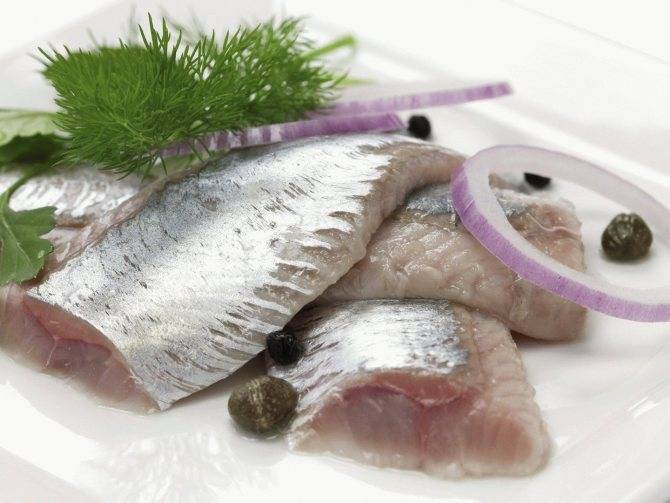 Нежирные сорта рыб: список самых низкокалорийных