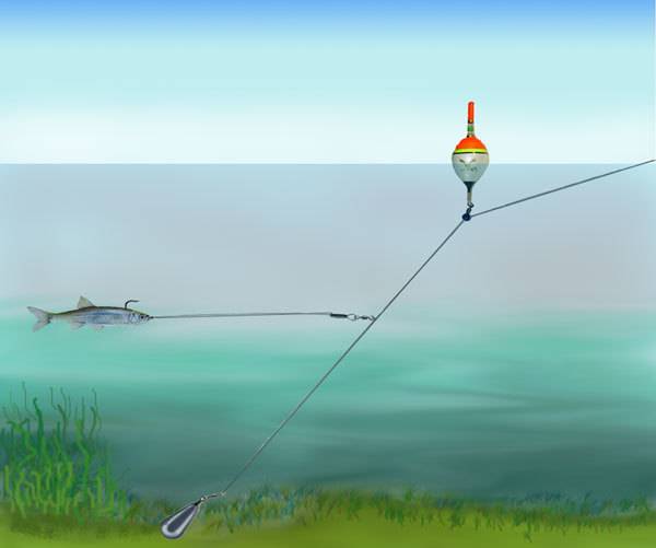 На что ловить красноперку в реальной рыбалке — все нюансы