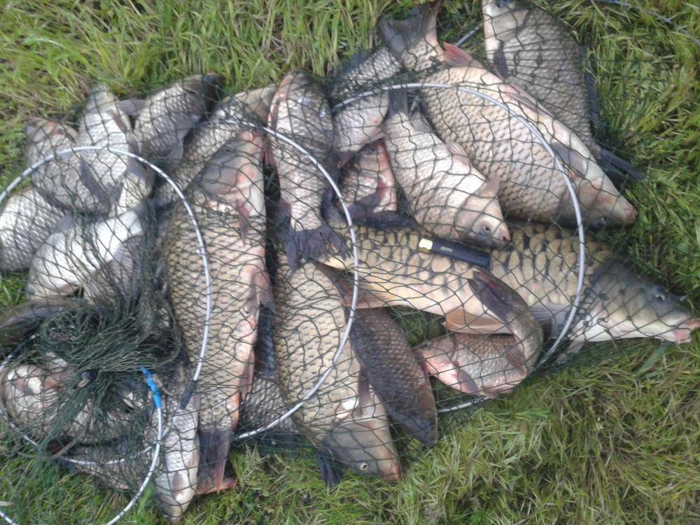 12 лучших рыболовных мест ростовской области