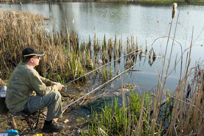 Рыбалка на карася весной: на что ловить и какие снасти лучше