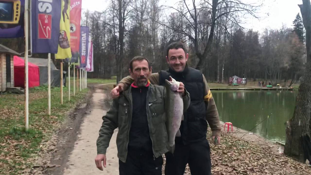 Бесплатная рыбалка в ленинградской области дикарем 2021 - отчеты, ловля щуки, судака, окуня