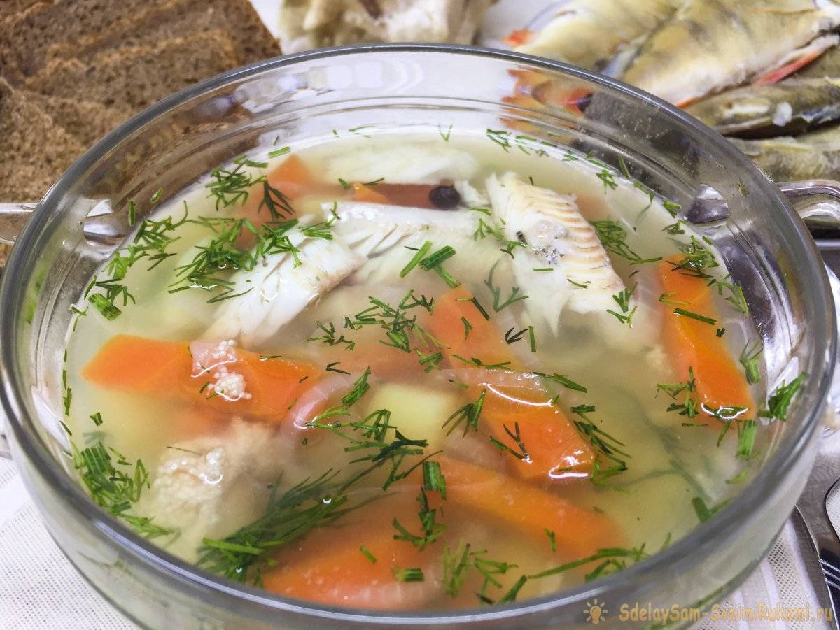 Уха из речного окуня: рецепт приготовления супа в домашних условиях