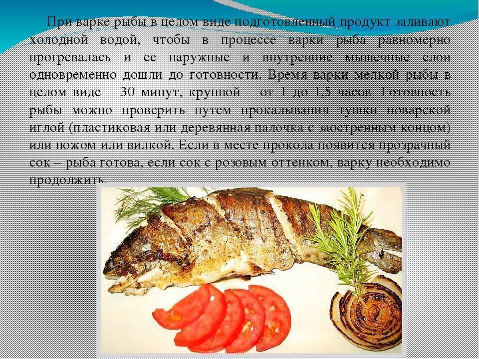 Как правильно и вкусно варить рыбу
