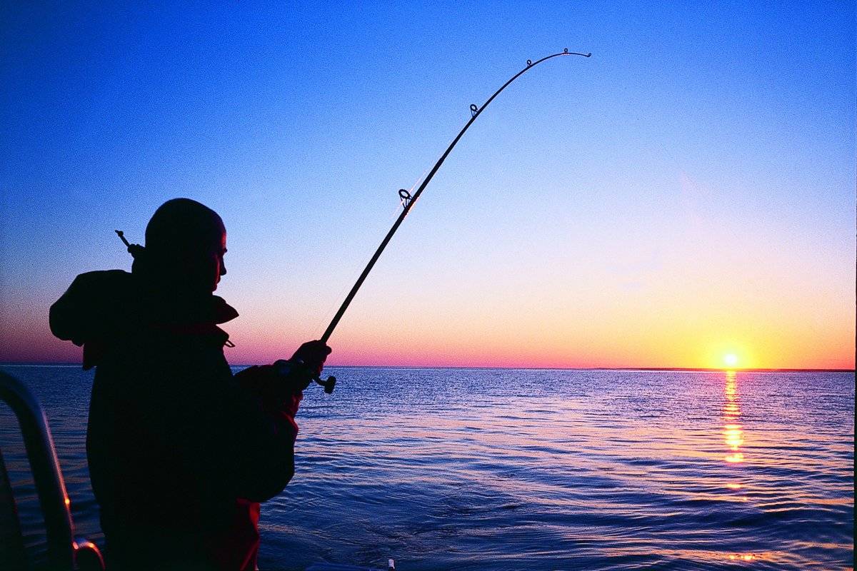 27 мест для рыбалки, время респауна и способы ловли рыбы - genshin impact - гайды и прохождение