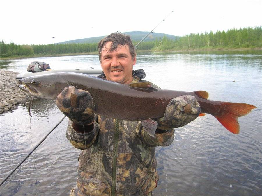 Поездка на рыбалку на озеро к…(рыбные места не выдаём…:-d), г. якутск.