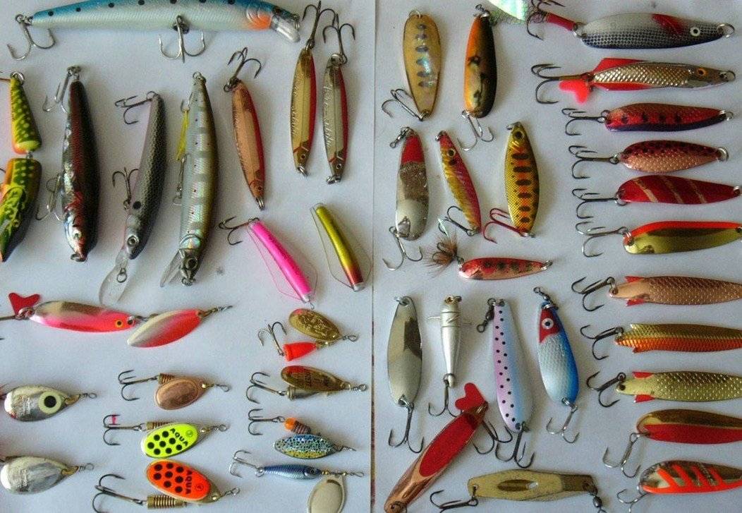 Ловля судака на спиннинг, сезонность и места обитания, выбор снастей, проводки и другие советы рыболовов