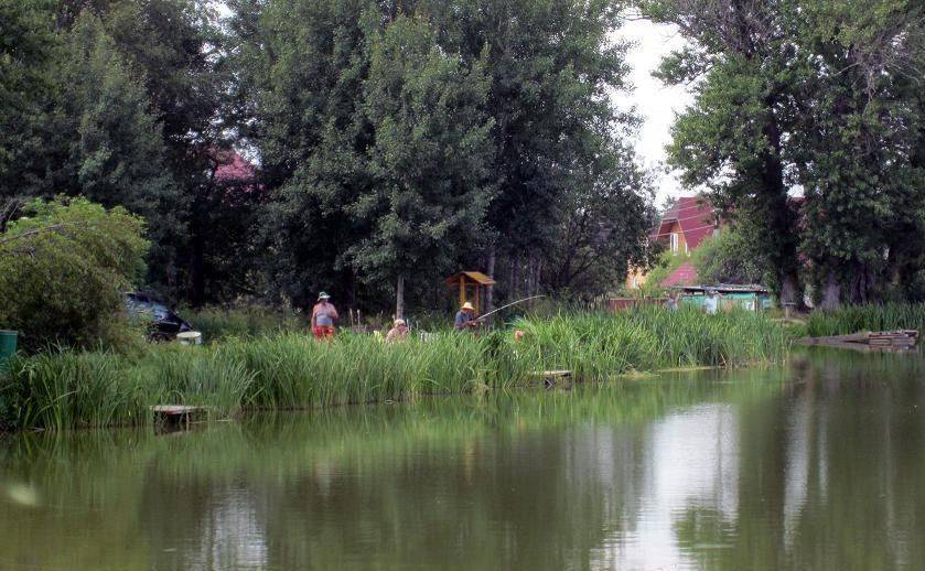 Рыбалка в «три пескаря» в деревне лыткино (пятницкое шоссе) — местоположение, правила и расценки