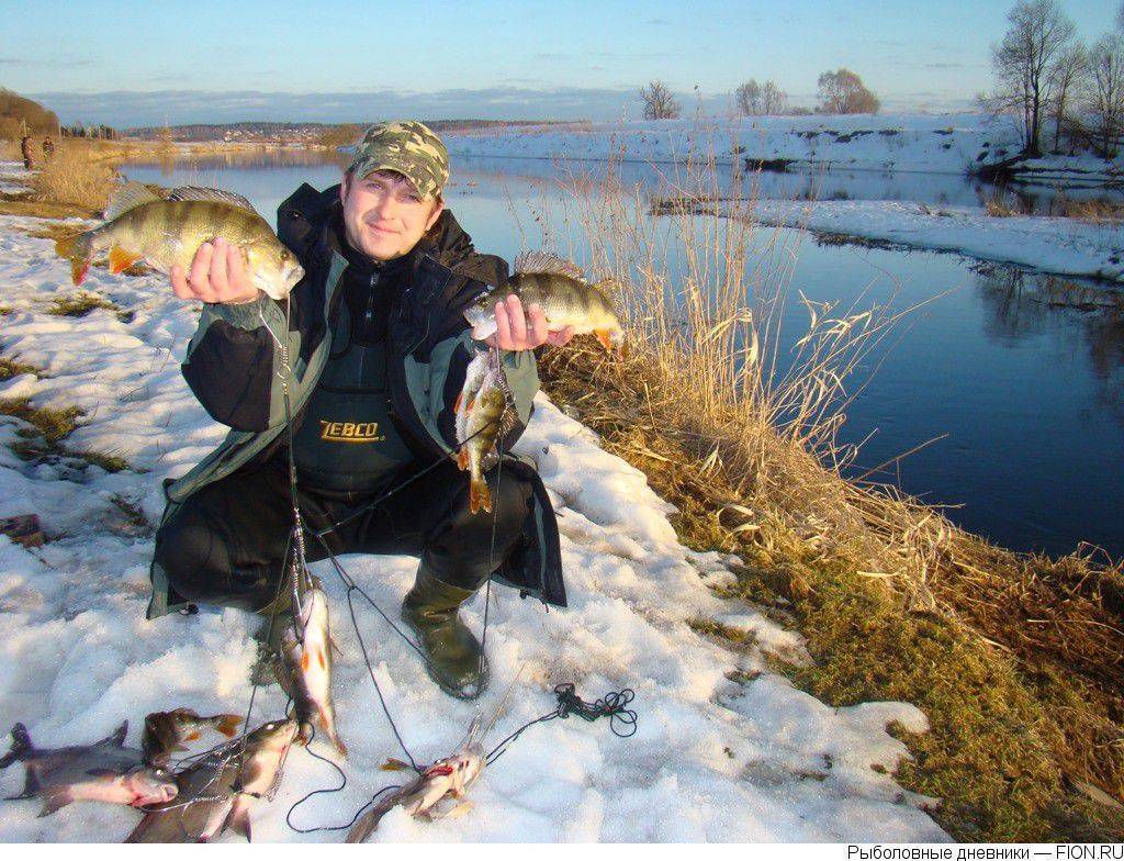 Рыбалка на дубне - лучшие места на реке, видео, отзывы, ловля зимой, весной, летом и осенью