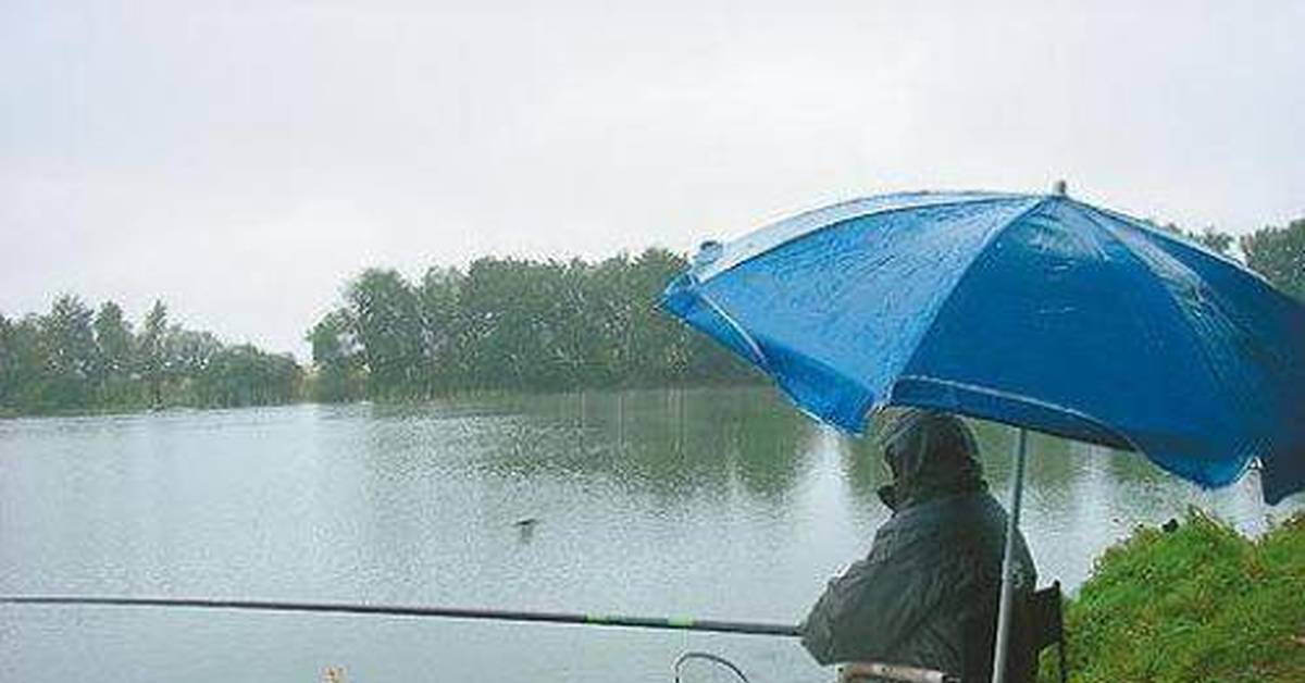 Клюет ли рыба в дождь: особенности рыбалки после дождя летом, качество клева