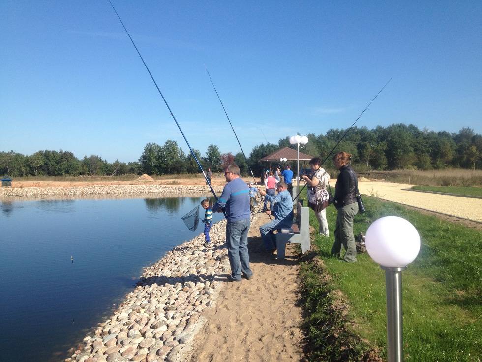 Рыбалка в ленинградской области — рыболовные базы, лучшие места для ловли (карта рыбных мест)