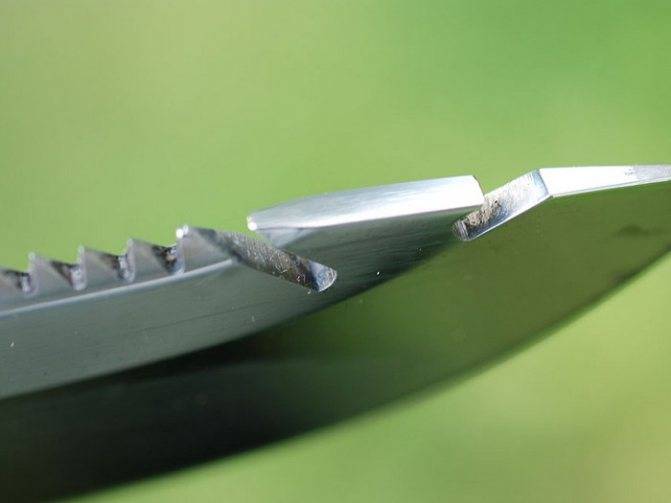 Как выбрать нож для рыбалки: топ-6 лучших рыболовных ножей