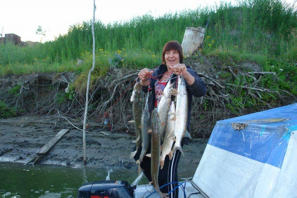 Платная рыбалка и рыболовные туры республики коми