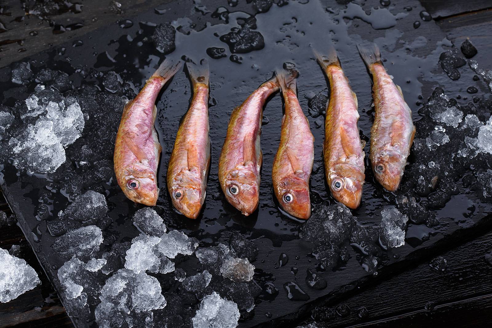 Рыба барабулька: фото, отзывы, как выглядит, где водится, как приготовить