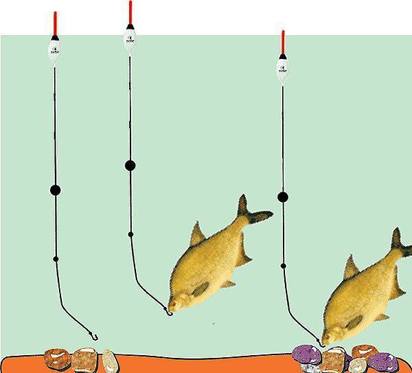 Универсальная удочка для начинающих рыболовов: как выбрать снасти для рыбалки
