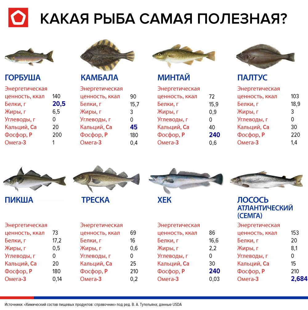 Основные нежирные сорта рыбы: каким отдать предпочтение при похудении