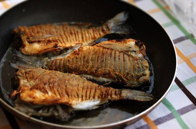 Топ 10 российской рыбы и советы как ее приготовить