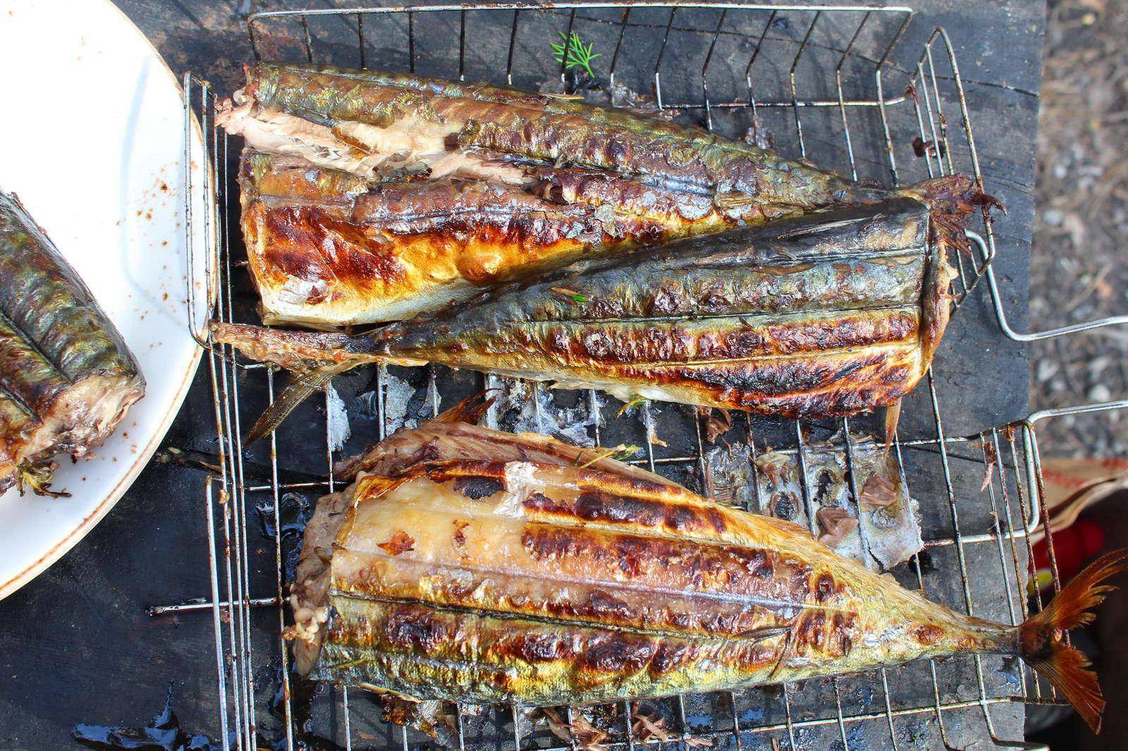 Приготовление рыбы на мангале: маринады и пошаговый процесс