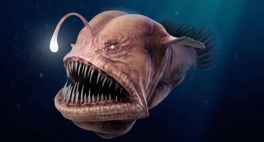 Описание глубоководной рыбы с фонариком на голове