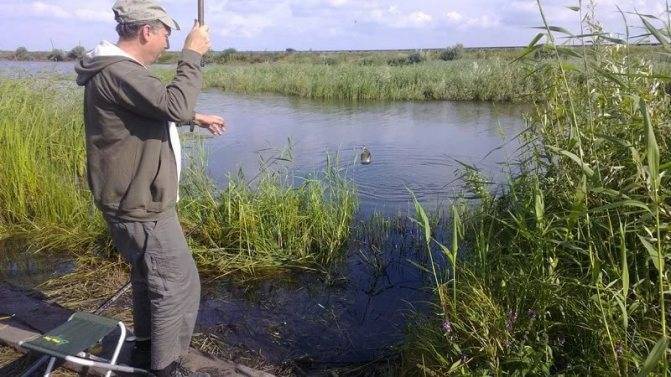 Рыбалка в балаково саратовской области