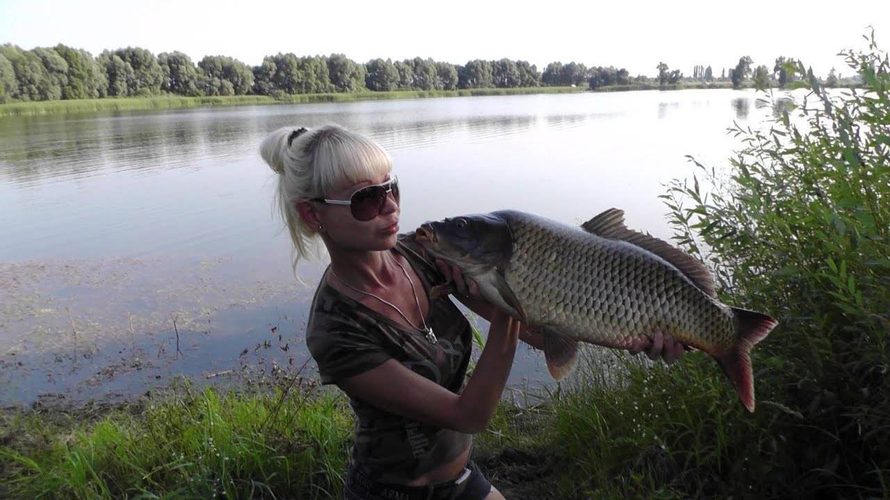 ᐉ шиловское озеро - место для рыбака - ✅ ribalka-snasti.ru