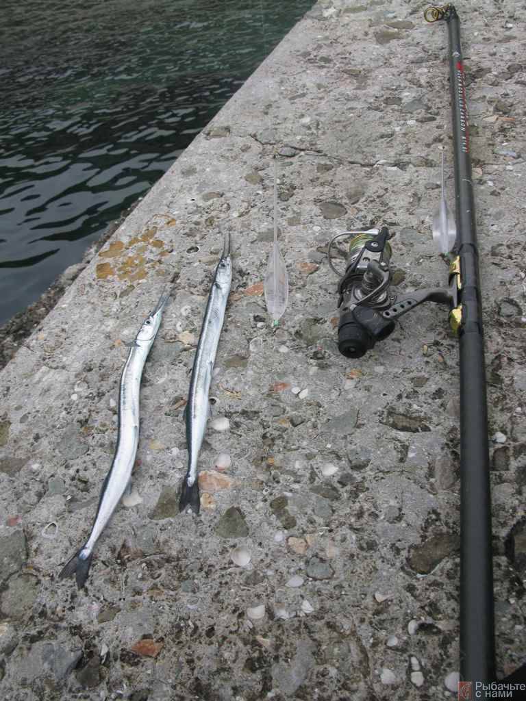 Ловля кефали - методы, особенности и практические советы для начинающих рыбаков (110 фото)