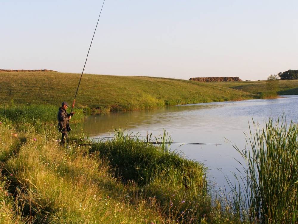Платная рыбалка в саратовской области – отзывы рыболовов