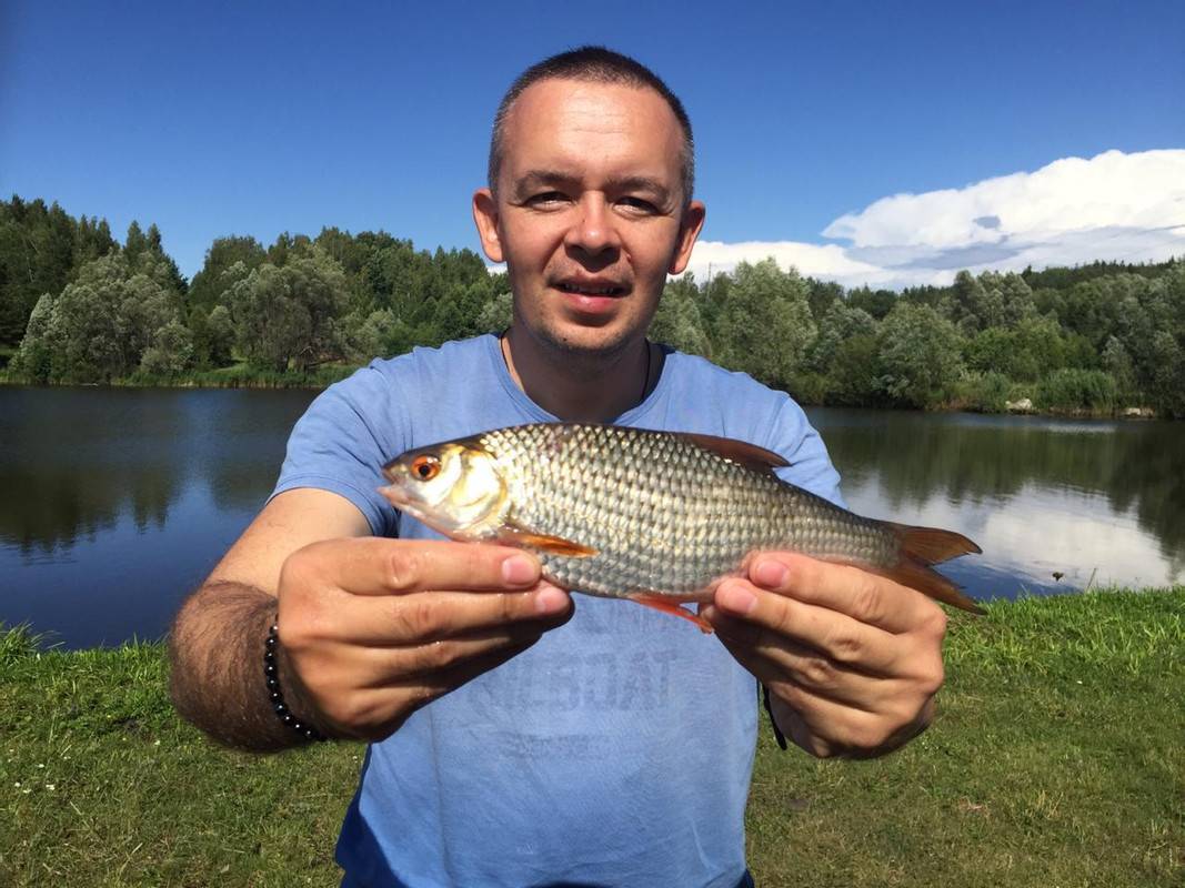 Рыбалка в ульяновской области бесплатно