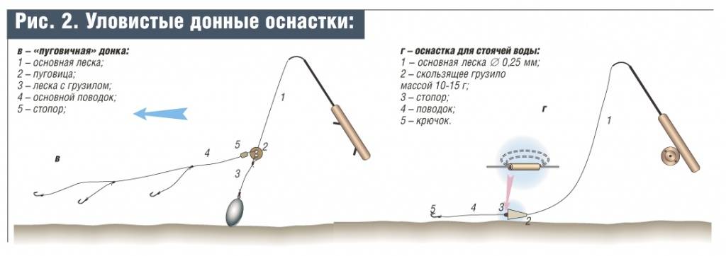 Монтаж донки на леща: сборка донной снасти на леща